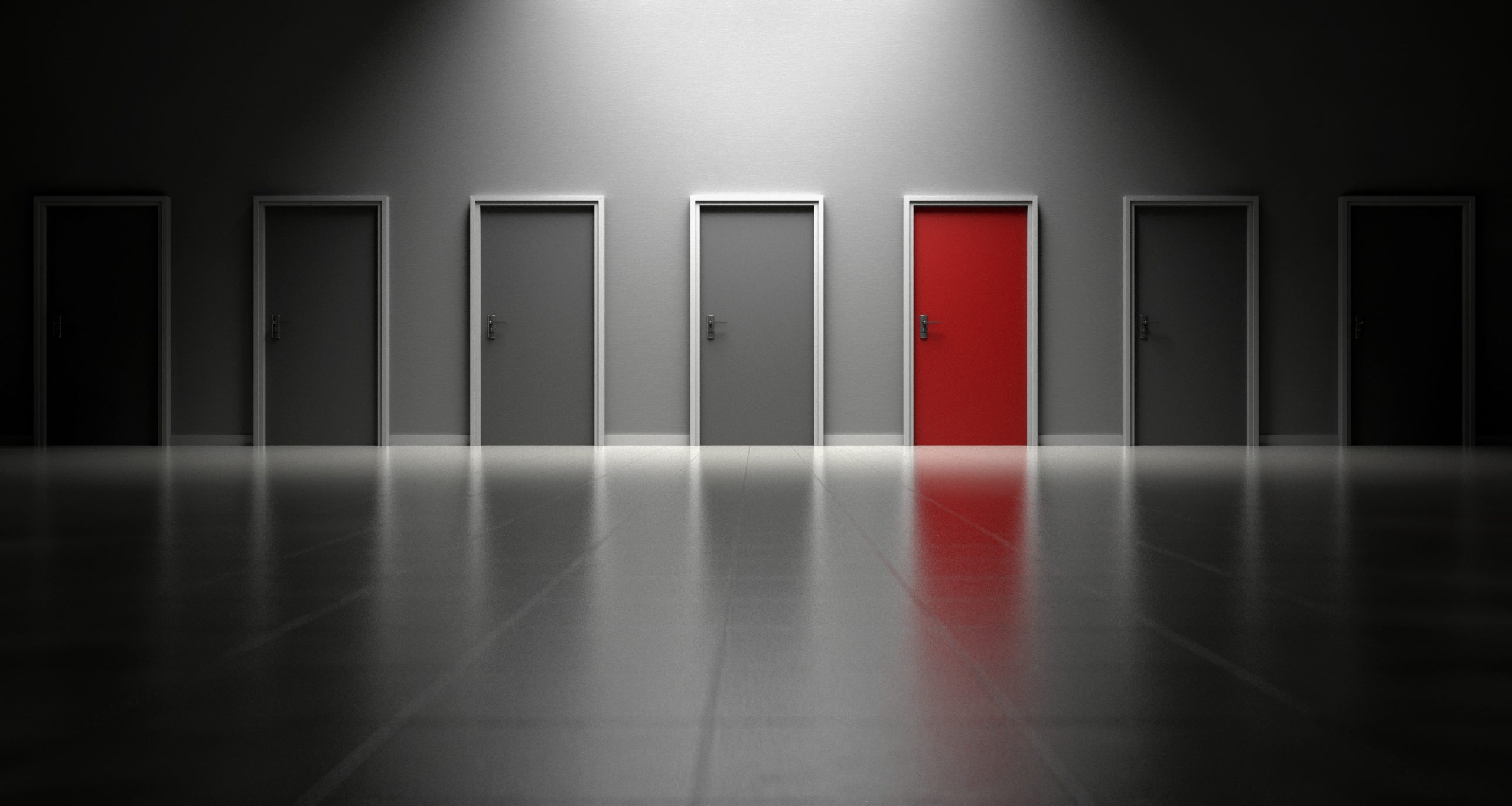 nms-consulting-global-danismanlık
