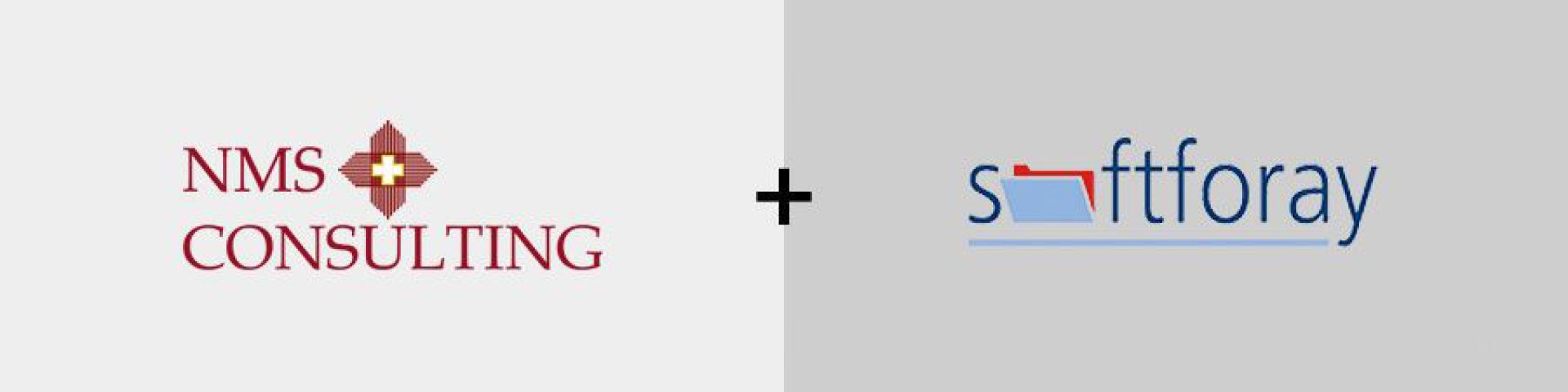 NMS Consulting-Softforay İşbirliği
