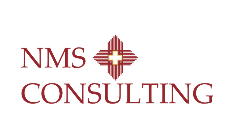 Yönetim Danışmanlığı ve Finansal Danışmanlık | NMS Consulting